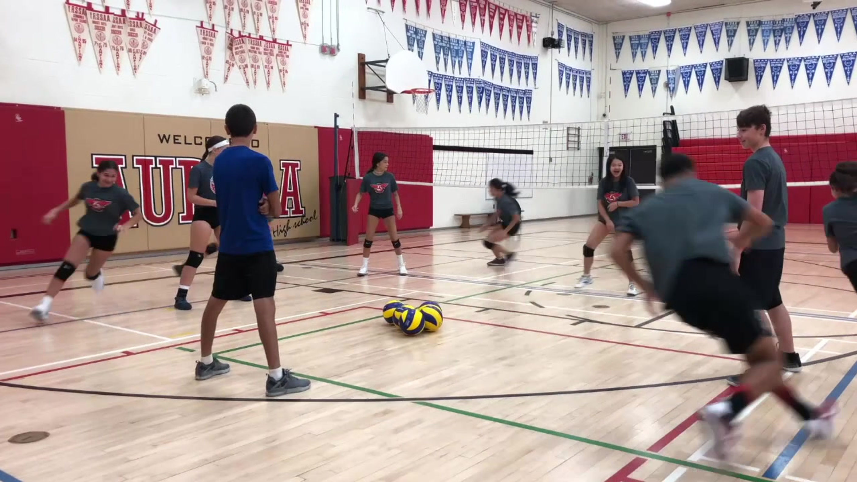 Spike It Volleyball !